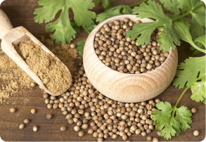 Coriander-Seeds-image