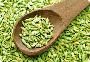 Fennel-Seeds-image