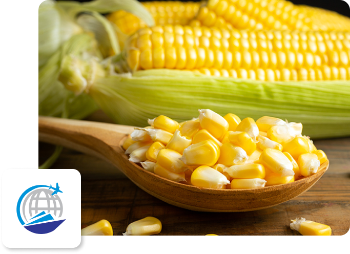 Yellow-corn-main-image