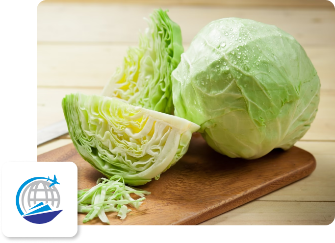 Cabbage-image