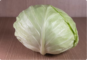 Cabbage-image