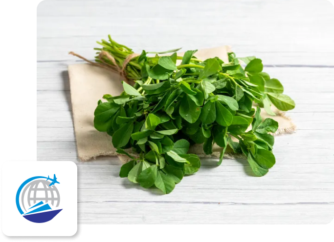 Fenugreek-image