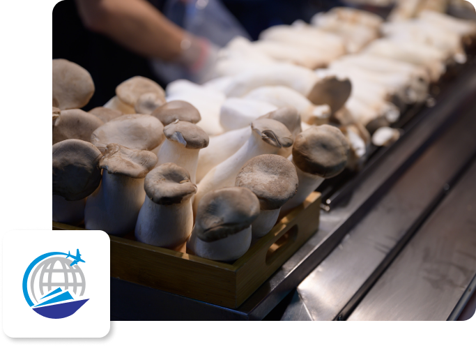 Mushroom-image