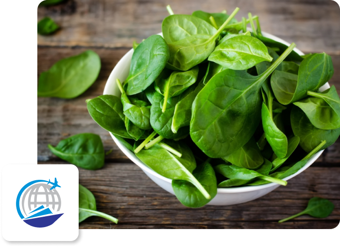 Spinach-Palak-image