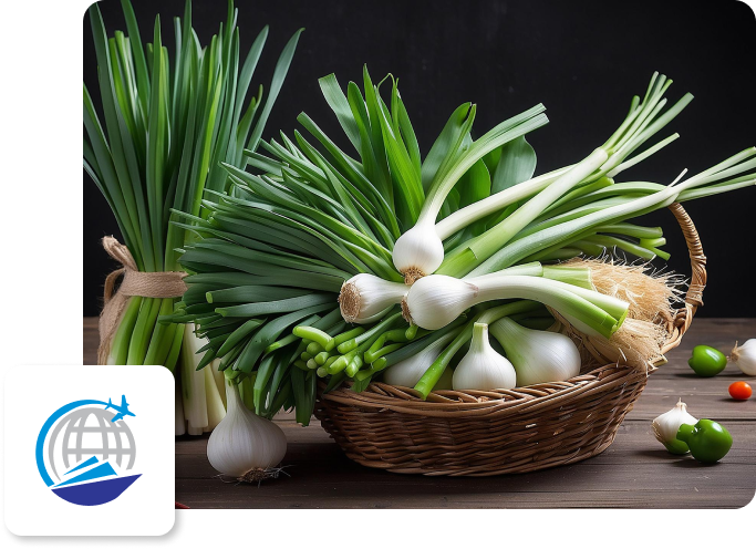 Spring Onion-image